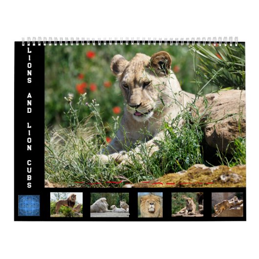 Calendrier 12 mois Famille Lion (Protection)