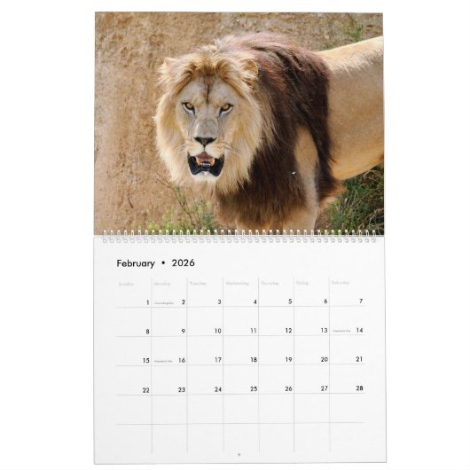 Calendrier 12 mois Famille Lion (Feb 2026)
