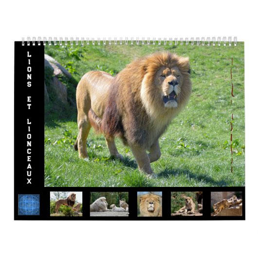 Calendrier 12 mois Famille Lion (Protection)
