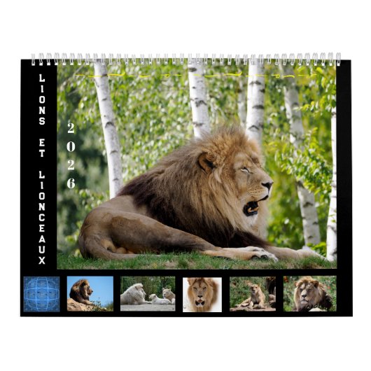 Calendrier 12 mois Famille Lion (Protection)