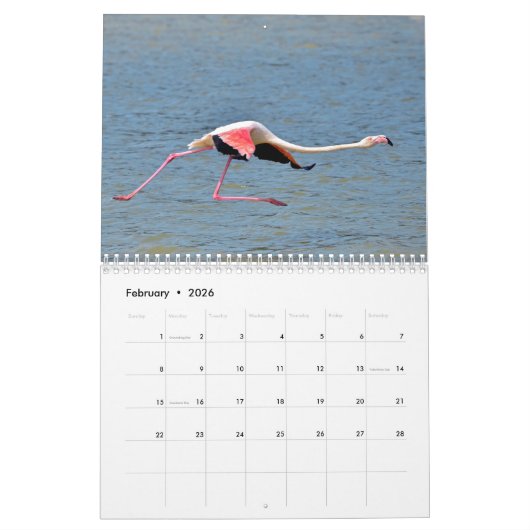 Calendrier 12 mois flamants (Feb 2026)