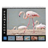 Calendrier 12 mois flamants (Protection)