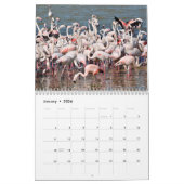 Calendrier 12 mois flamants (Jan 2026)