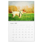 Calendrier 12 Mois Jack Russell Chiens Terrier Aquarelle Cade (Jan 2027)