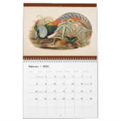 Calendrier 12 mois Oiseaux d'Asie : faisans 2017 (Feb 2026)