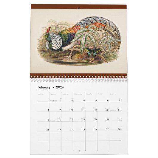 Calendrier 12 mois Oiseaux d'Asie : faisans 2017 (Feb 2026)