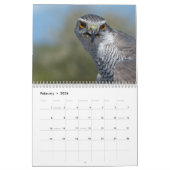 Calendrier 12 mois, Oiseaux prédateurs (Feb 2026)