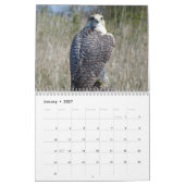 Calendrier 12 mois, Oiseaux prédateurs (Jan 2027)