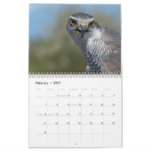 Calendrier 12 mois, Oiseaux prédateurs (Feb 2027)