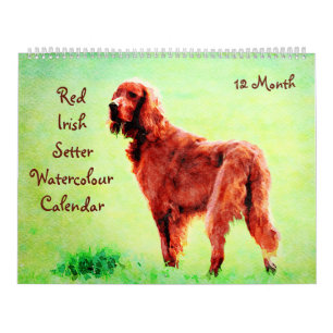 Calendrier 12 Mois Peinture d'aquarelle rouge irlandais Sette
