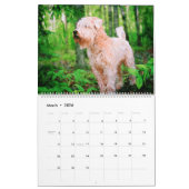 Calendrier 12 Mois Roue Chiens de Terrier Animaux Aquarelle C (Mar 2026)