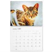 Calendrier 12 Mois Superbe Bengale Chats aquarelle Peinture (Jan 2027)