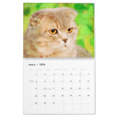 Calendrier 12 mois Sweet Scottish Fold Cats Aquarelle Cadeau (Mar 2026)