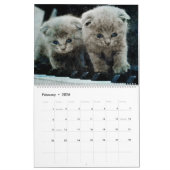 Calendrier 12 mois Sweet Scottish Fold Cats Aquarelle Cadeau (Feb 2026)