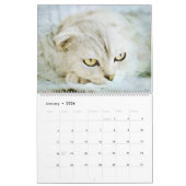 Calendrier 12 mois Sweet Scottish Fold Cats Aquarelle Cadeau (Jan 2026)
