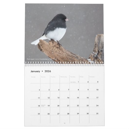 Calendrier 12 oiseaux pour 2017 (légende fixe) (Jan 2026)