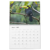 Calendrier 12 oiseaux pour 2017 (légende fixe) (Mar 2027)