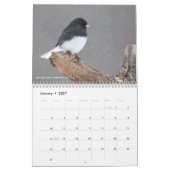 Calendrier 12 oiseaux pour 2017 (légende fixe) (Jan 2027)