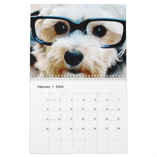 Calendrier 14 Photo Couverture complète - Art Déco Nom Mint (Feb 2026)