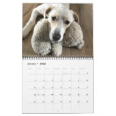 Calendrier 14 Photo Couverture complète - Moderne Personnalis (Jan 2026)