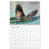 Calendrier 14 photos of mammals (Mar 2026)