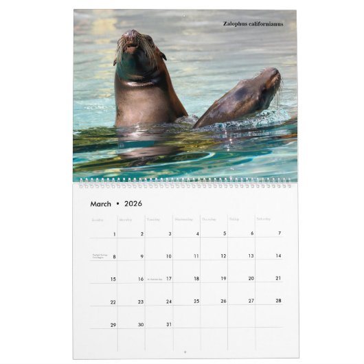Calendrier 14 photos of mammals (Mar 2026)