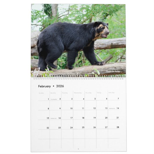 Calendrier 14 photos of mammals (Feb 2026)