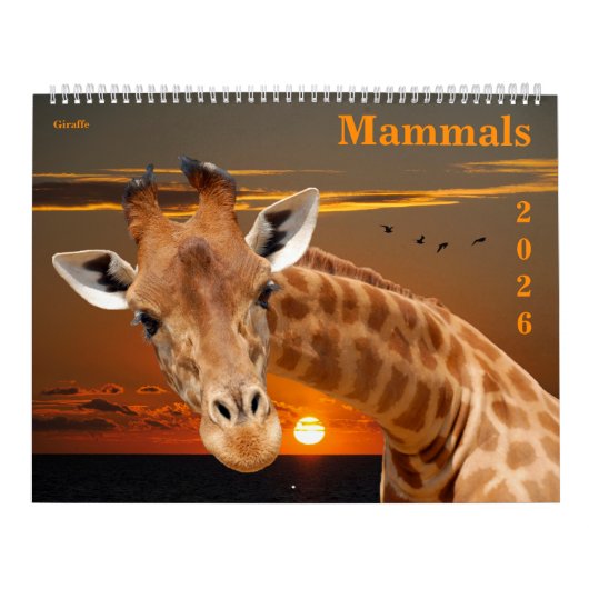Calendrier 14 photos of mammals (Protection)