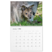Calendrier 14 photos of mammals (Jan 2026)