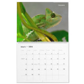 Calendrier 14 Photos of Reptiles Calendar (Mar 2026)