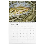 Calendrier 14 Photos of Reptiles Calendar (Jan 2026)