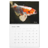 Calendrier 14 photos os animals and water (Jan 2026)