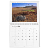 Calendrier 18 Lames D'Or - Collection De Windmills (Feb 2027)