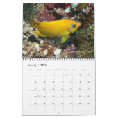 Calendrier 1 des pêches sur les récifs fidjiens (Jan 2026)