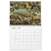 Calendrier 1 des pêches sur les récifs fidjiens (Feb 2026)