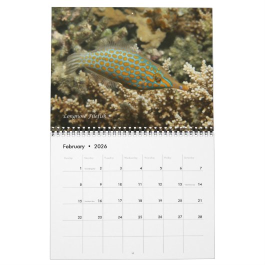 Calendrier 1 des pêches sur les récifs fidjiens (Feb 2026)