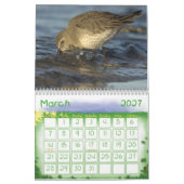 Calendrier 1 d'oiseau (Mar 2027)