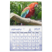 Calendrier 1 d'oiseau (Jan 2027)
