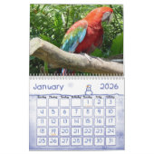 Calendrier 1 d'oiseau (Jan 2026)