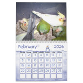 Calendrier 1 d'oiseau (Feb 2026)