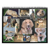 Calendrier 2007 de Mack (Protection)