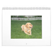 Calendrier 2008 de Mack (Protection)