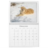 Calendrier 2008 de Mack (Feb 2026)