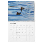 Calendrier 2008 par Diana Carroll (Mar 2026)