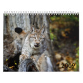 Calendrier 2009 (Protection)