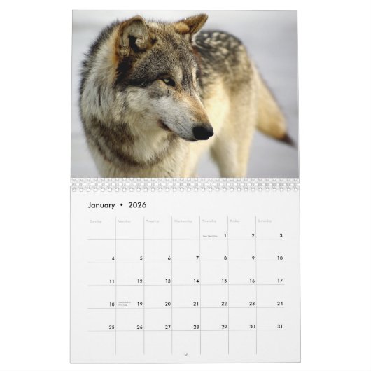 Calendrier 2009 (Jan 2026)