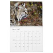 Calendrier 2009 (Mar 2027)