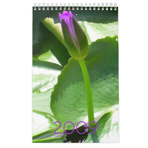 Calendrier 2009