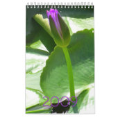 Calendrier 2009 (Protection)