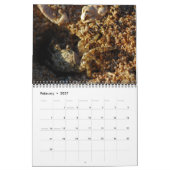 Calendrier 2009 (Feb 2027)